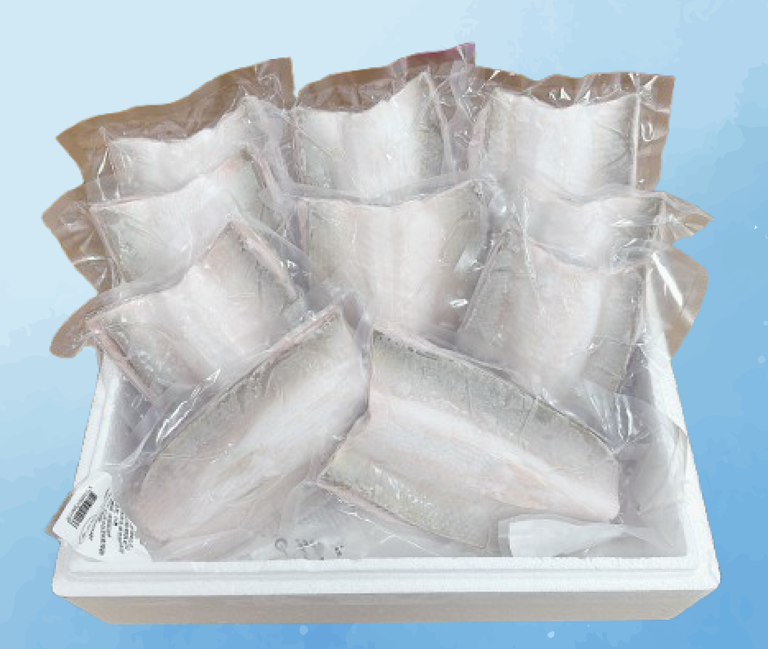 虱目魚肚10入組